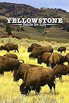 Yellowstone (2009)