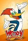 The New Woody Woodpecker Show (1999)