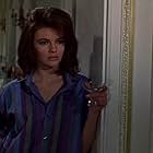 Jacqueline Bisset in Casino Royale (1967)