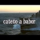 Cateto a babor (1970)