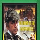 Vasiliy Livanov in The Adventures of Sherlock Holmes and Dr. Watson: The Hound of the Baskervilles (1981)