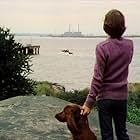 Sam and the River (1975)