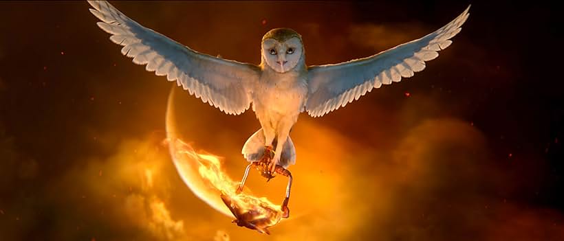 Jim Sturgess in Legend of the Guardians: The Owls of Ga'Hoole (2010)