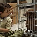 Keaton Nigel Cooke in Wiener-Dog (2016)