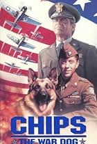 Chips, the War Dog