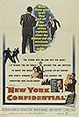 New York Confidential (1955)