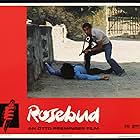 Rosebud (1975)