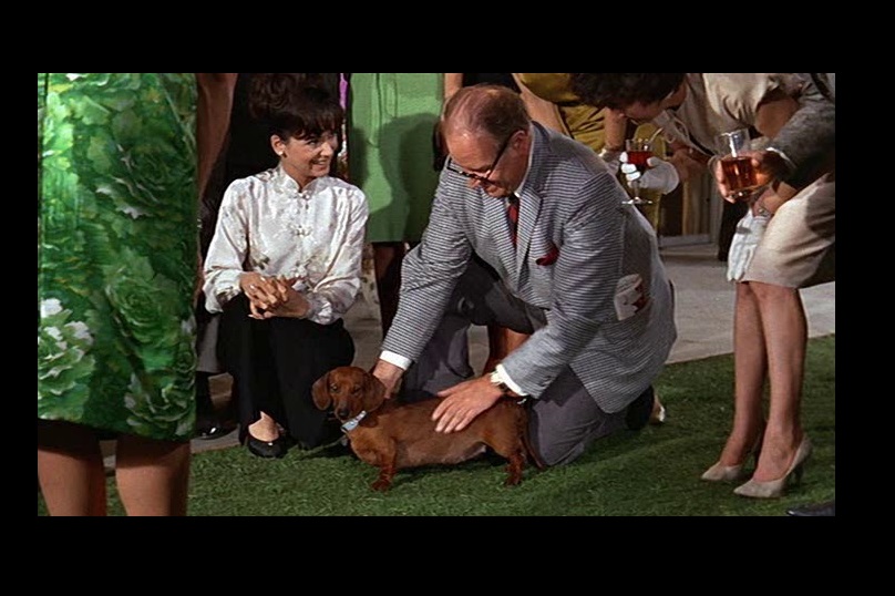 Suzanne Pleshette in The Ugly Dachshund (1966)