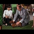 Suzanne Pleshette in The Ugly Dachshund (1966)