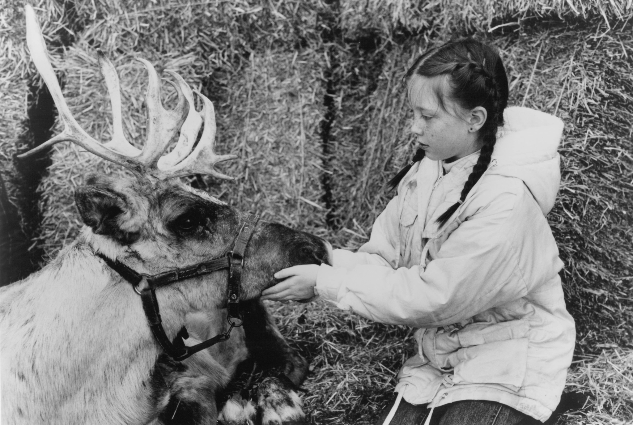 Rebecca Harrell Tickell and Boo in Prancer (1989)