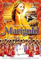 Marigold