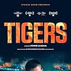 Tigers (2020)