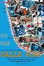 Galle Road: The Volunteer Diaries (2006)