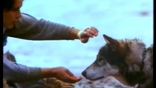 Jack London's classic adventure story about the friendship developed between a Yukon gold hunter and the mixed dog-wolf he rescues from the hands of a man who mistreats him.