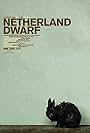 Netherland Dwarf (2008)