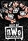 The Best of WWE: Best of nWo's primary photo