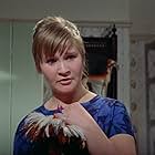 Michele Dotrice in The Witches (1966)