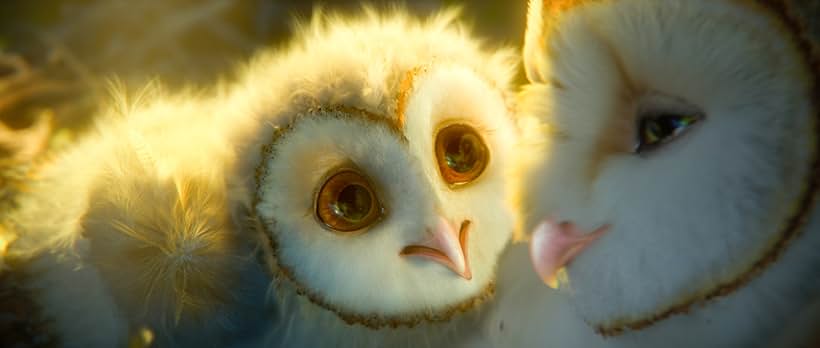 Jim Sturgess and Adrienne DeFaria in Legend of the Guardians: The Owls of Ga'Hoole (2010)