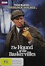 Tom Baker in The Hound of the Baskervilles (1982)