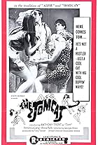 The Tomcat (1967)