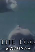 The Egg