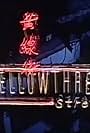 Yellowthread Street (1990)