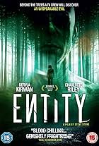 Entity