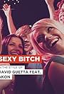 David Guetta Feat. Akon: Sexy Bitch (2009)