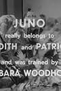 Juno Helps Out (1953)