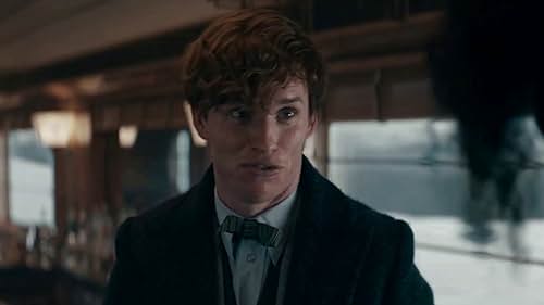 Fantastic Beasts: The Secrets Of Dumbledore: Newt Has A Team