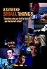 A Series of Small Things (2005) Poster