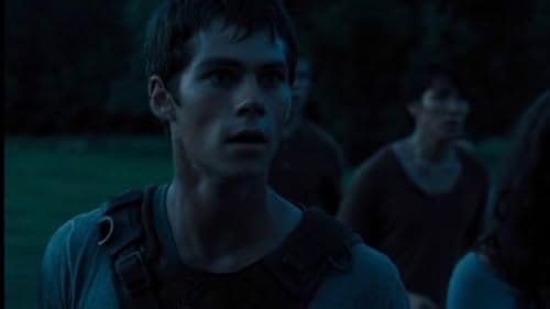 The Maze Runner: Hide (Chinese)