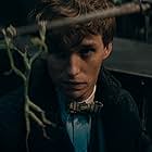 Eddie Redmayne in Fantastic Beasts: The Secrets of Dumbledore (2022)