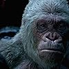 Aleks Paunovic in War for the Planet of the Apes (2017)