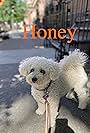 Honey (2017)