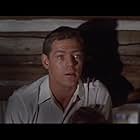 James MacArthur in Spencer's Mountain (1963)