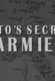 NATO's Secret Armies (2010)