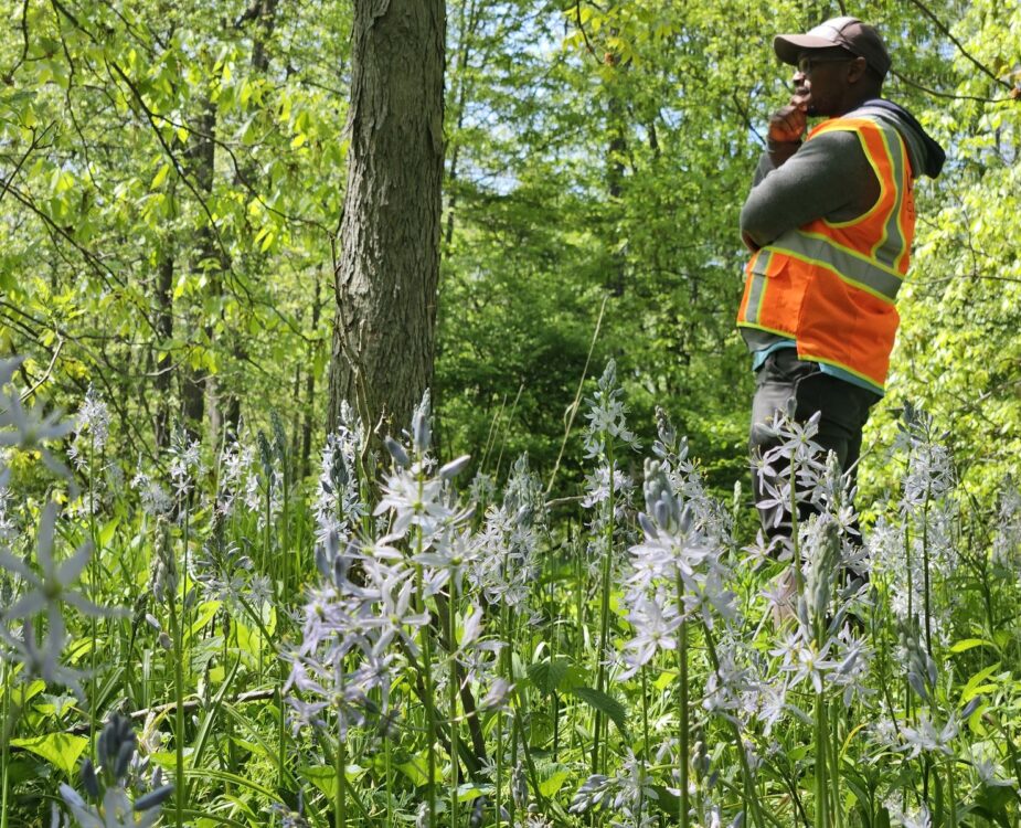 Site Analysis