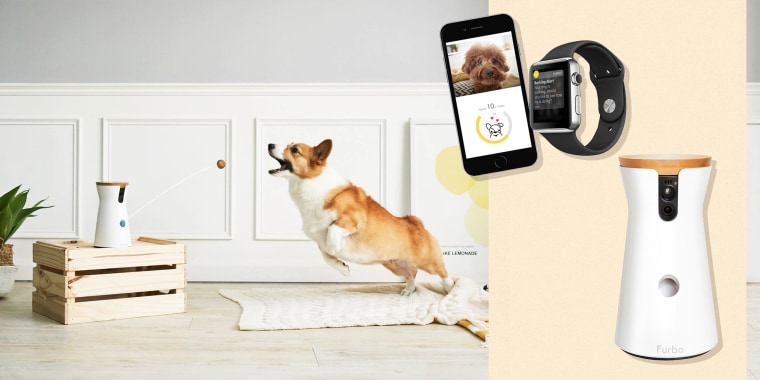 The Furbo Dog Camera is a great solution for owners with troublesome pets. Learn why to buy a pet camera and see the best cameras from Blink, Petcube and more.