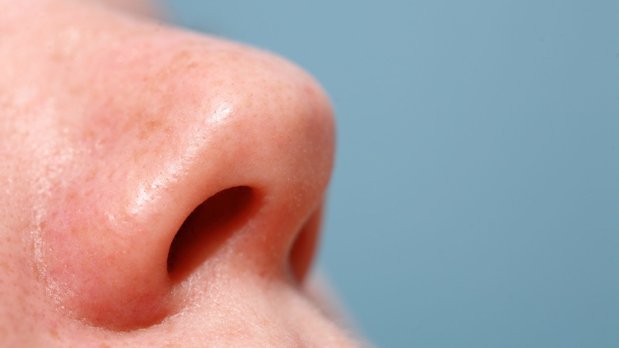 Close up of a female nose pointing upwards with a blue background