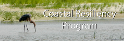 Coastal Resiliency Program