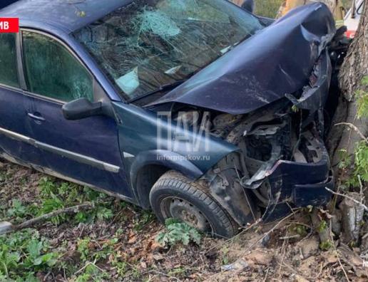 Пассажирка погибла в результате ДТП в Плюсском районе Псковской области