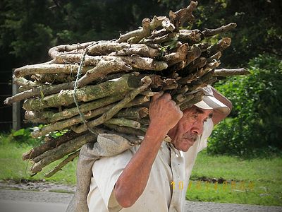 Грех и раскаяние