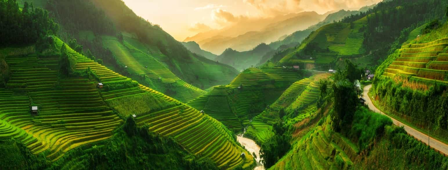 Terrasserte rismarker i Mu Cang Chai