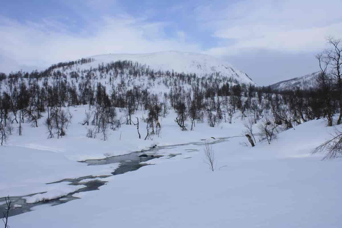 Virvassdalen