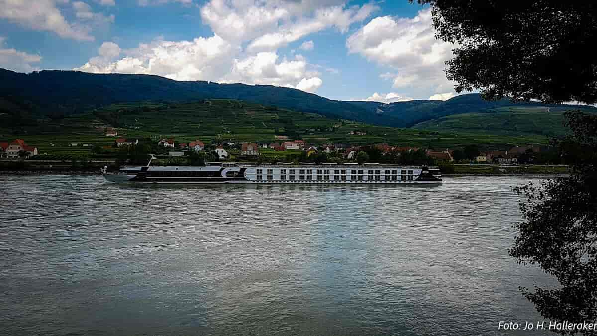 Cruisebåt i Wachau