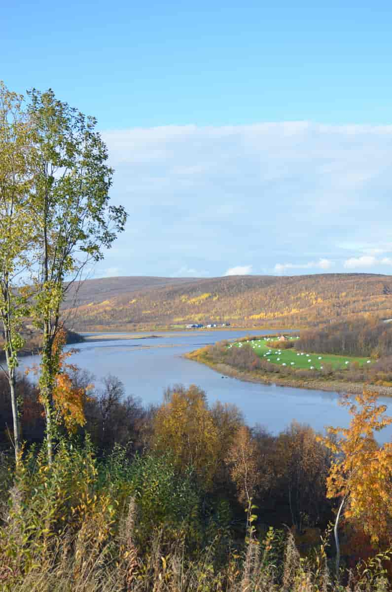 Tanaelva et stykke sør for Tana bru