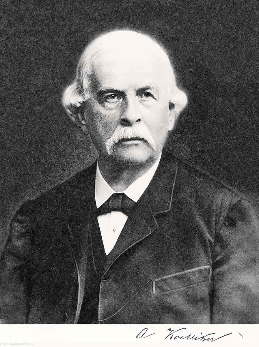 Rudolf Albert Kölliker