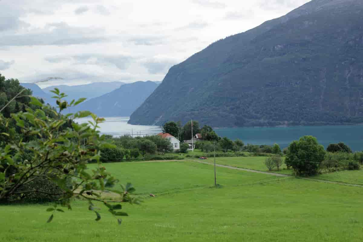 Lustrafjorden 2013