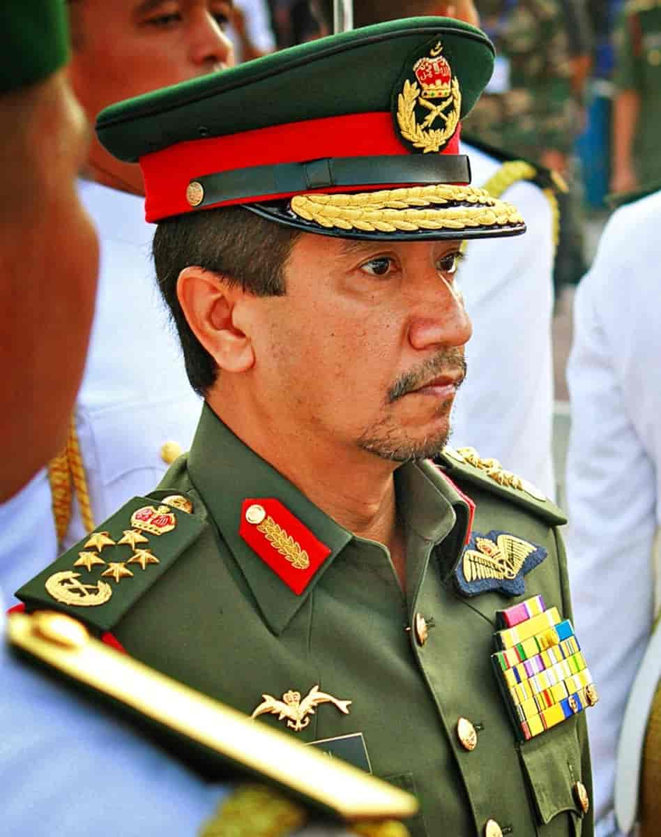 Tuanku Mizan Zainial Abidin, 2011